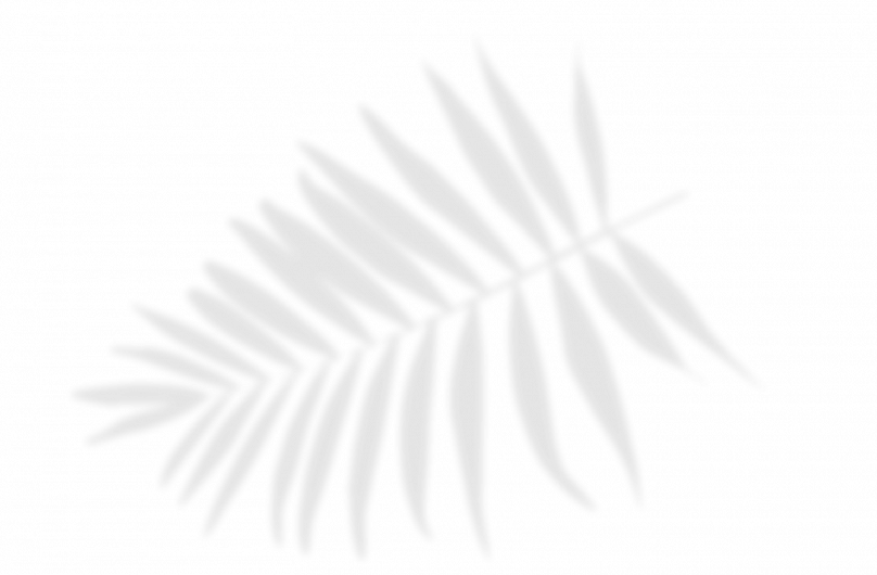 bg-03.png